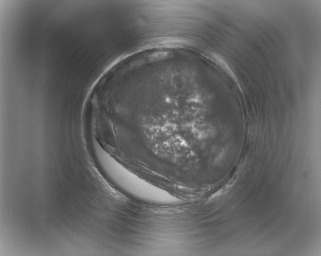 X0000068890835200605192133