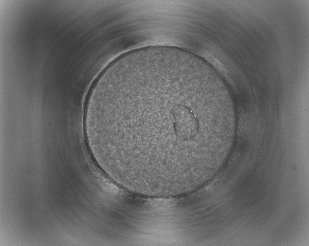 X0000068890836200605192133