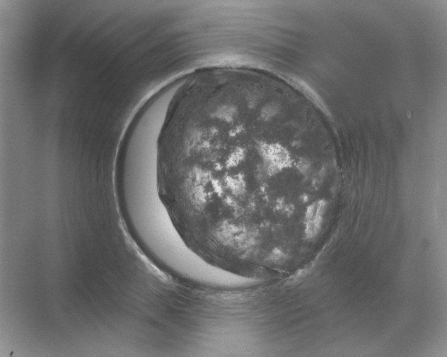 X0000068890839200605192133