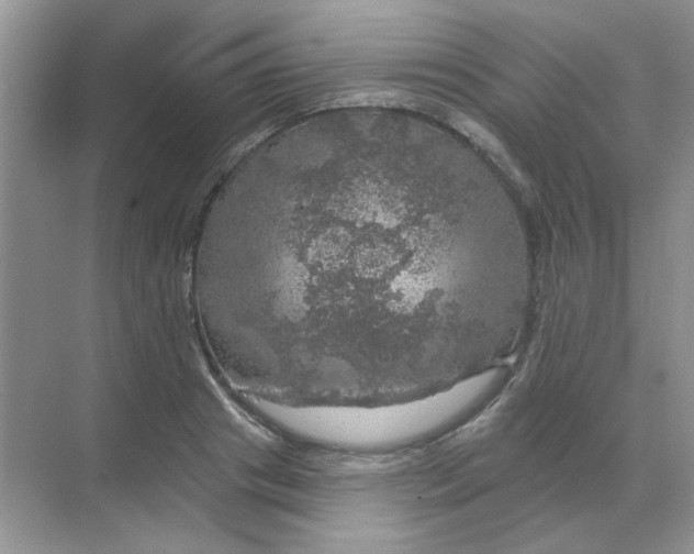 X0000068890841200605192133