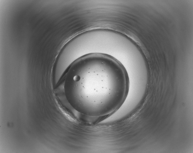 X0000068890842200605192133