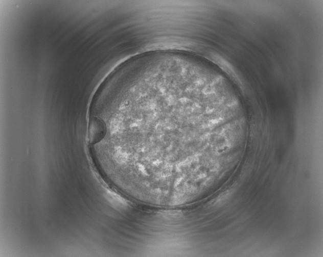 X0000068890844200605192133