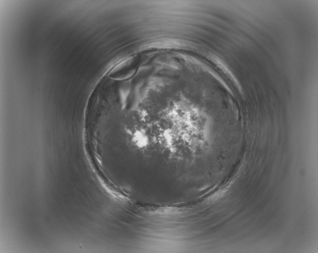 X0000068890845200605192133