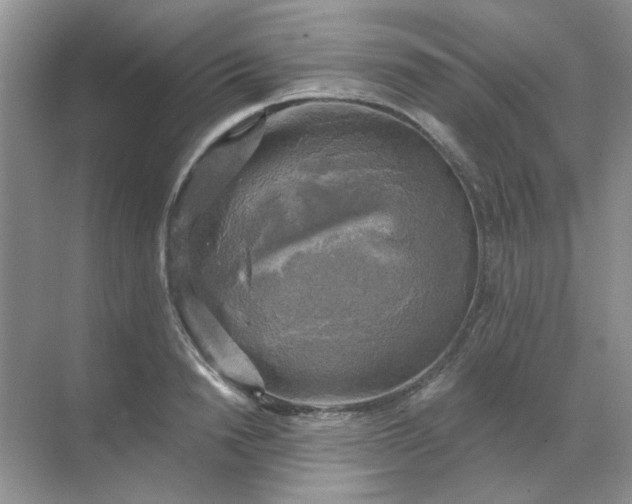 X0000068890846200605192133