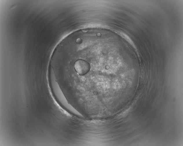 X0000068890847200605192133