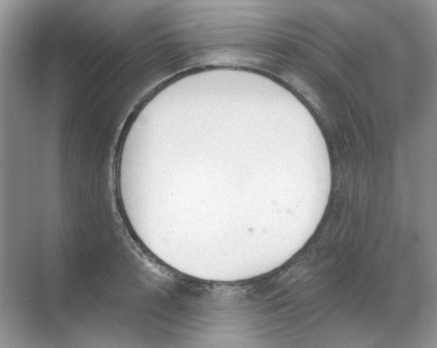 X0000068890848200605192133