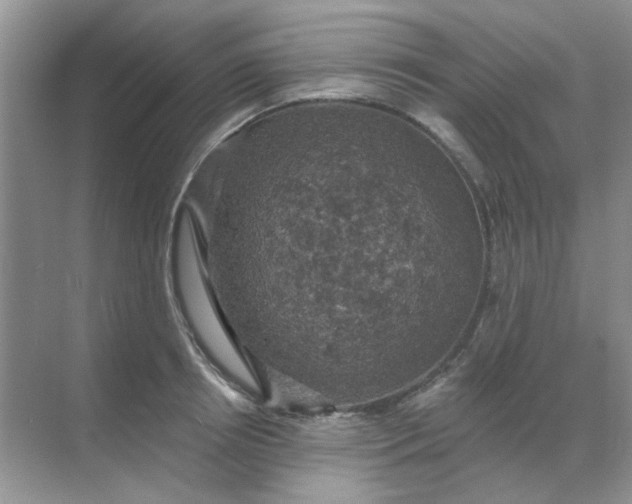 X0000068890850200605192133