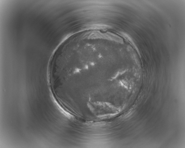 X0000068890851200605192133