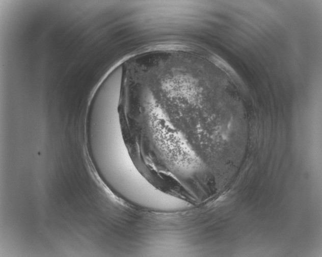 X0000068890852200605192133