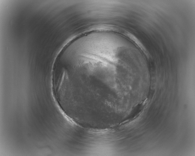 X0000068890853200605192133