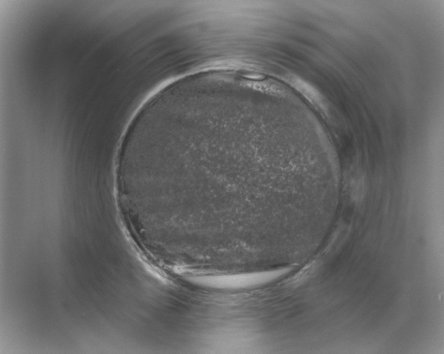 X0000068890854200605192133