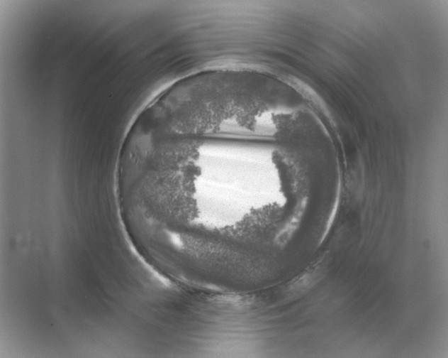 X0000068890855200605192133