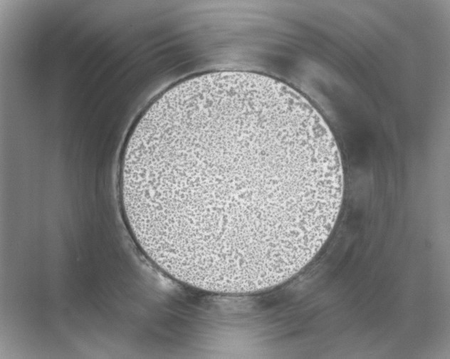 X0000068890856200605192133