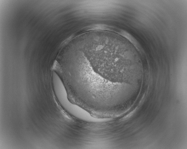 X0000068890857200605192133