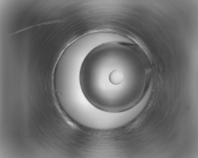 X0000068890858200605192133