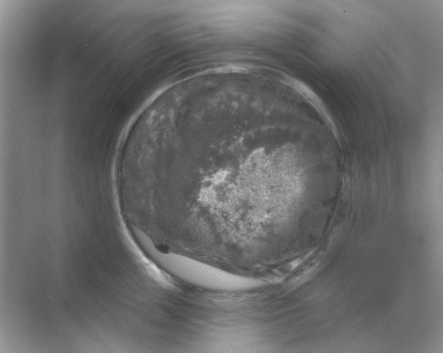 X0000068890859200605192133