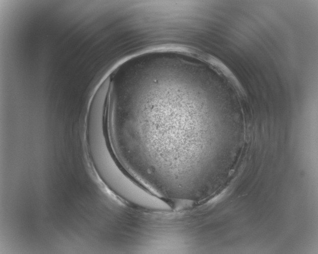 X0000068890860200605192133