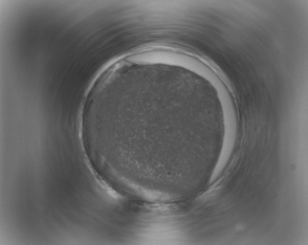 X0000068890862200605192133