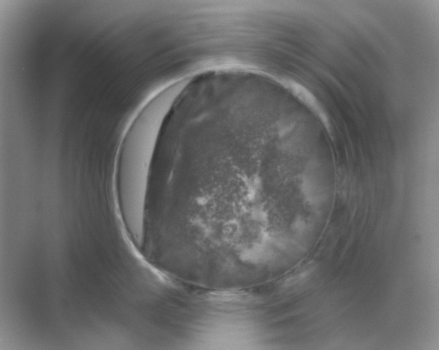 X0000068890863200605192133