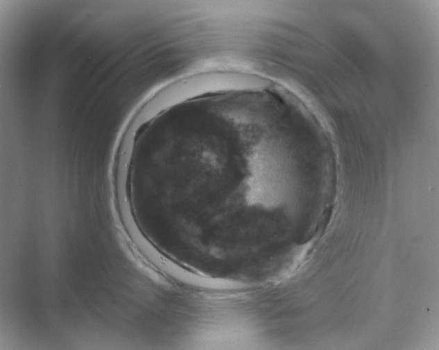 X0000068890864200605192133