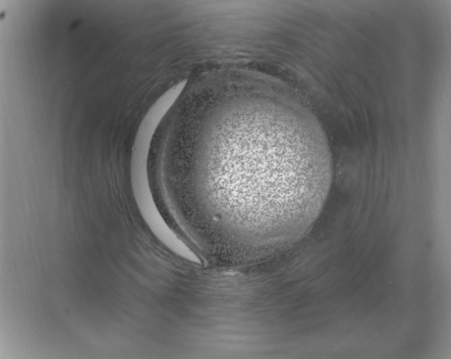 X0000068890866200605192132