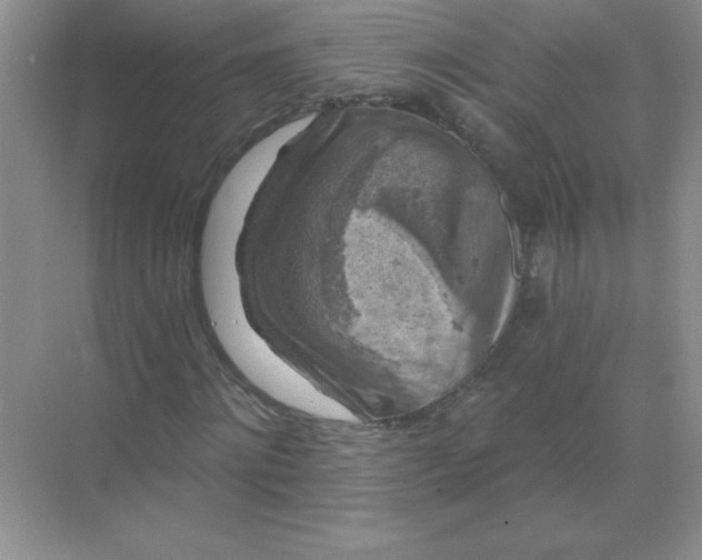 X0000068890868200605192132