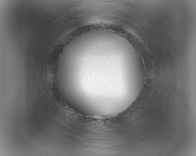 X0000068890869200605192132