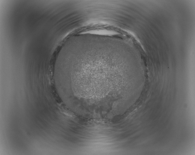 X0000068890871200605192132