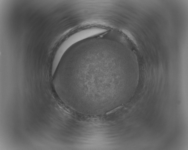 X0000068890872200605192132