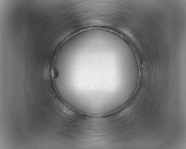 X0000068890873200605192132