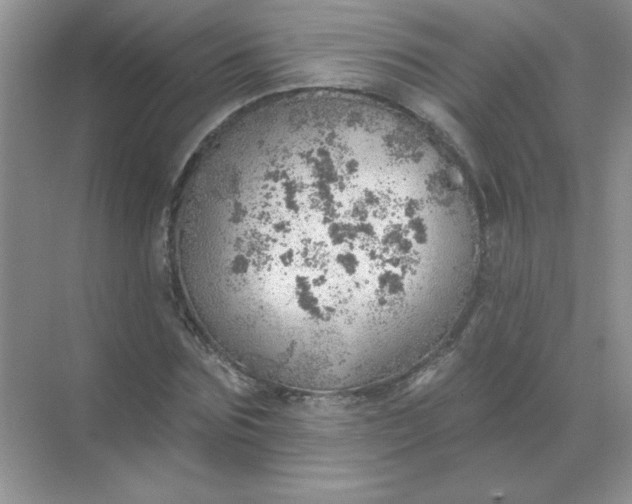 X0000068890875200605192132