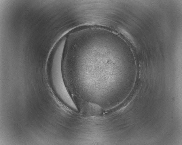 X0000068890876200605192132