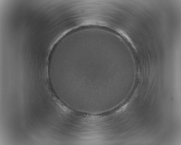 X0000068890877200605192132