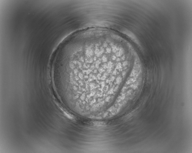 X0000068890878200605192132