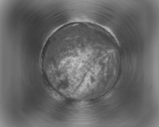 X0000068890879200605192132