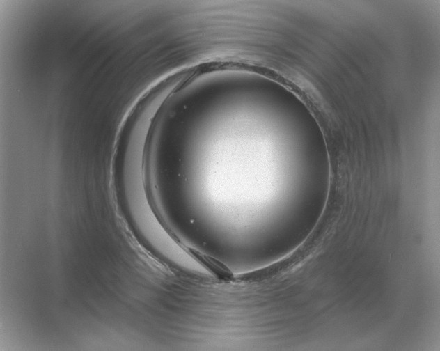 X0000068890880200605192132