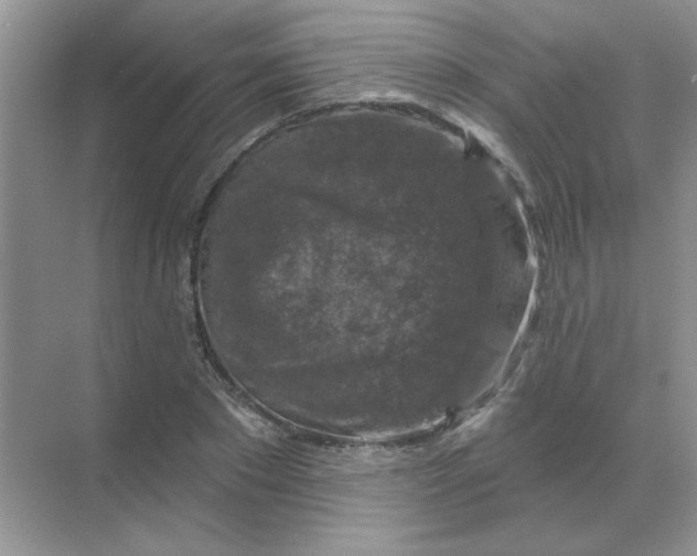 X0000068890881200605192132