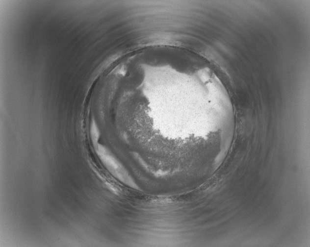 X0000068890882200605192132