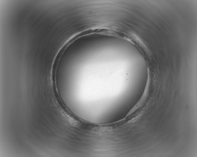 X0000068890884200605192132