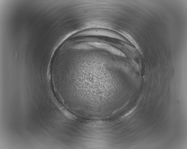 X0000068890885200605192132