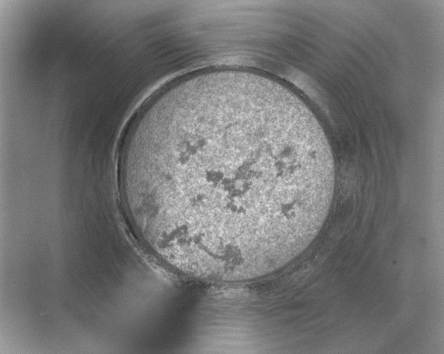 X0000068890886200605192132