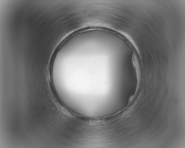 X0000068890887200605192132