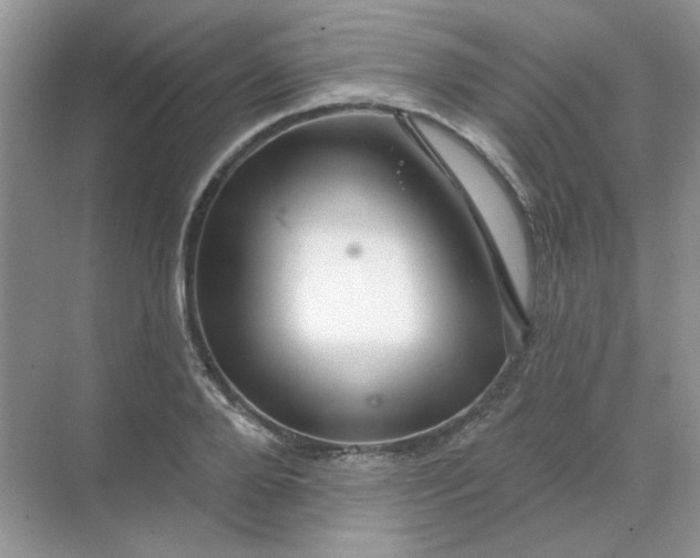 X0000068890888200605192132