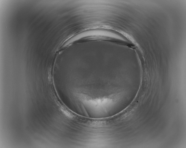 X0000068890889200605192132