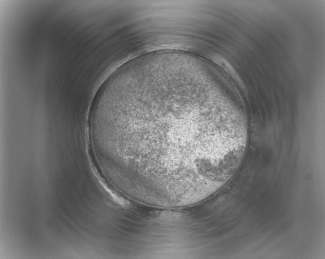 X0000068890890200605192132