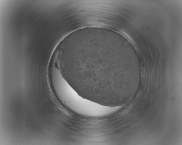 X0000068890891200605192132