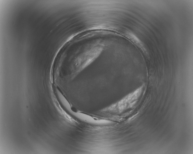 X0000068890892200605192132