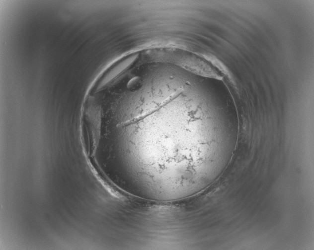 X0000068890894200605192132