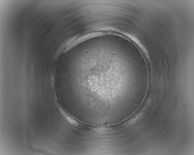 X0000068890897200605192132