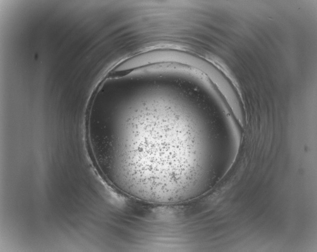 X0000068890898200605192132